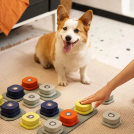 Lusy Store LLC Vocal Training Interactive Toy Bell Ringer Pets