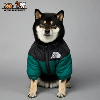 Luxury Winter Dog Jacket Green Double Extra Large