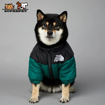 Luxury Winter Dog Jacket Green Double Extra Large