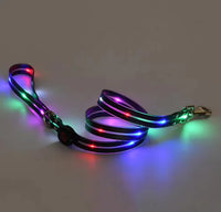 Glow Guard Collar Black