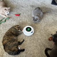 Lusy Store LLC Automatic Feather Fun Ball Toy Toys