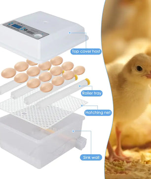Efficient Incubation For Healthy Hatchlings Assured - Lusy Store LLC 