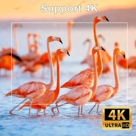 Android 11 4K Projector