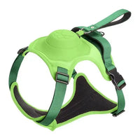 Pet Dog Hand Holding Rope Green Medium