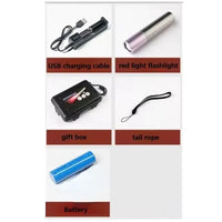 Red Light Therapy Lamp - Scar Removal & Skin Care Flashlight PINK