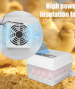 Efficient Incubation For Healthy Hatchlings Assured - Lusy Store LLC 