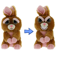 Pets Funny Face Changing Funny And Angry Soft Stuffed Plush Toys For Children - Lusy Store