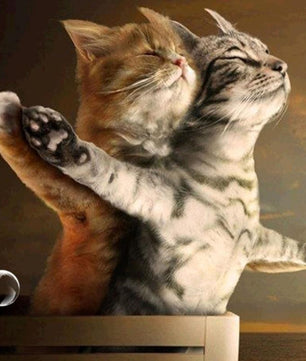 Cat Diamond Painting 5D DIY Funny Diamond Painting Living Room - Lusy Store
