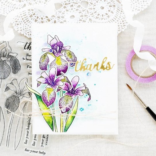Clivia Thanks Die Stamps Metal Cutting Die Scrapbooking for Card Making Photo Craft - Lusy Store