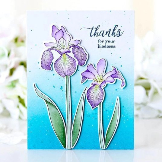 Clivia Thanks Die Stamps Metal Cutting Die Scrapbooking for Card Making Photo Craft - Lusy Store