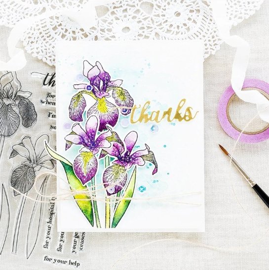 Clivia Thanks Die Stamps Metal Cutting Die Scrapbooking for Card Making Photo Craft - Lusy Store