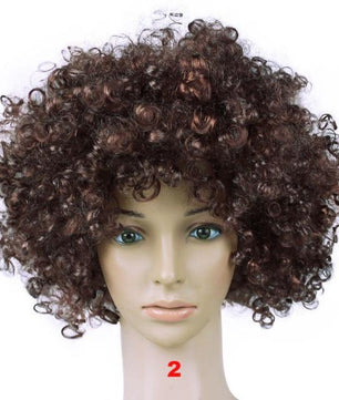 DIY Decorations Afro Big Hair Colorful Wig Fake Joker Decor - Lusy Store