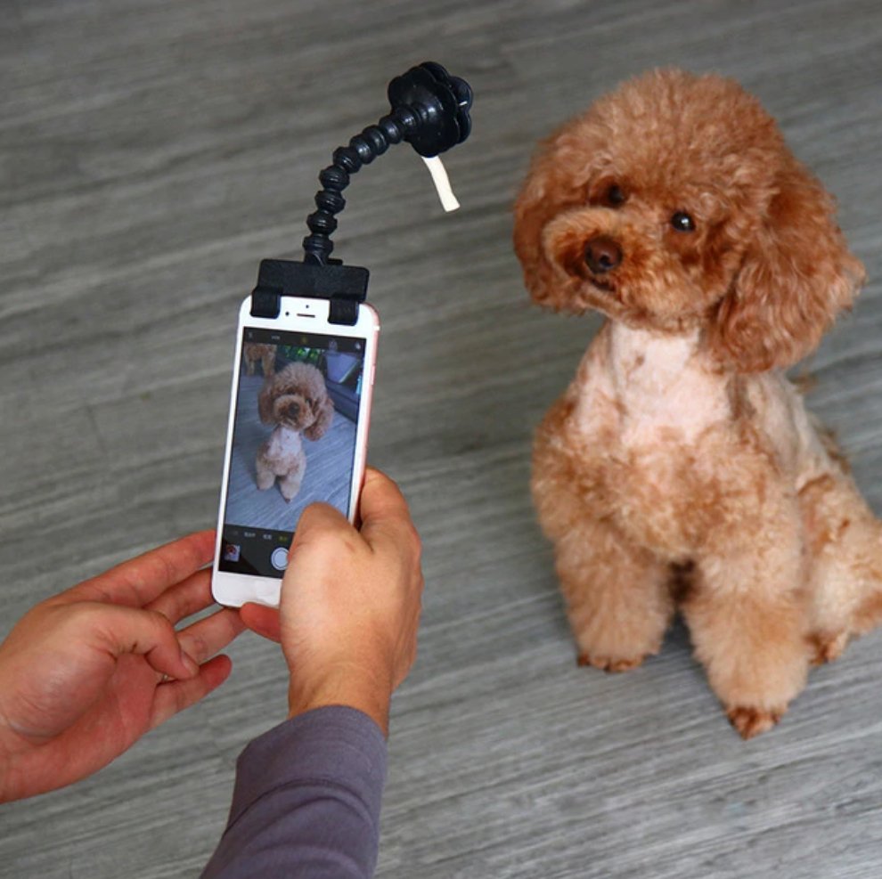Dog Selfie Stick - Lusy Store