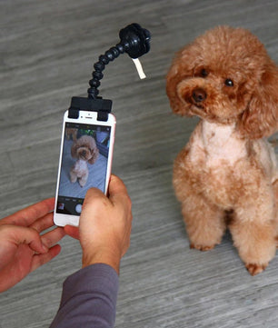 Dog Selfie Stick - Lusy Store