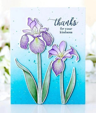 Flowers Thank you Hello Stamps and Dies Sets for Card Making Photo Paper Craft - Lusy Store