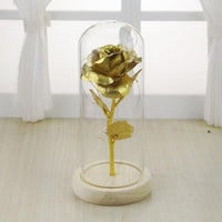 Gold-plated Red Rose With LED Glass Dome Light Beauty and The Beast For Wedding Party A2 United States