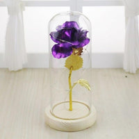 Gold-plated Red Rose With LED Glass Dome Light Beauty and The Beast For Wedding Party A4 United States