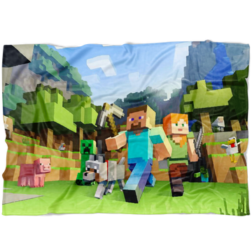 Small Fleece Blanket (40