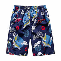 Mens Beach Pants Plus Size Swim Trunks Wave Storm Swim Shorts Quick Dry Board Shorts D399 14