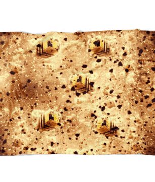 Minecraft Feece Blanket Minecraft Bees Blasting Black Blanket - Lusy Store
