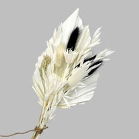 Mini bouquet pampas decorative dried flowers babysbreath flowers home decoration - Lusy Store LLC