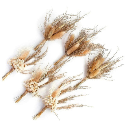 Mini bouquet pampas decorative dried flowers babysbreath flowers home decoration - Lusy Store LLC