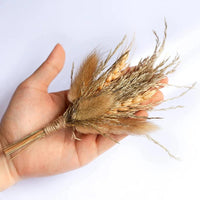 Mini bouquet pampas decorative dried flowers babysbreath flowers home decoration - Lusy Store LLC