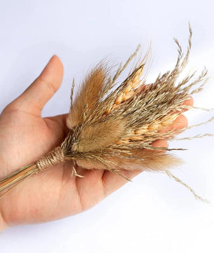 Mini bouquet pampas decorative dried flowers babysbreath flowers home decoration - Lusy Store LLC