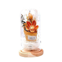 Navidad Rose Light Red Rose Flower Vase Party LED String Light - Lusy Store