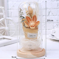 Navidad Rose Light Red Rose Flower Vase Party LED String Light - Lusy Store