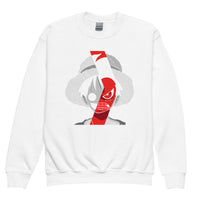 One Piece hoodie kids premium cotton natural hoodie streetwear cool tops