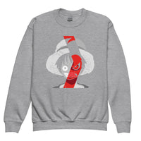 One Piece hoodie kids premium cotton natural hoodie streetwear cool tops