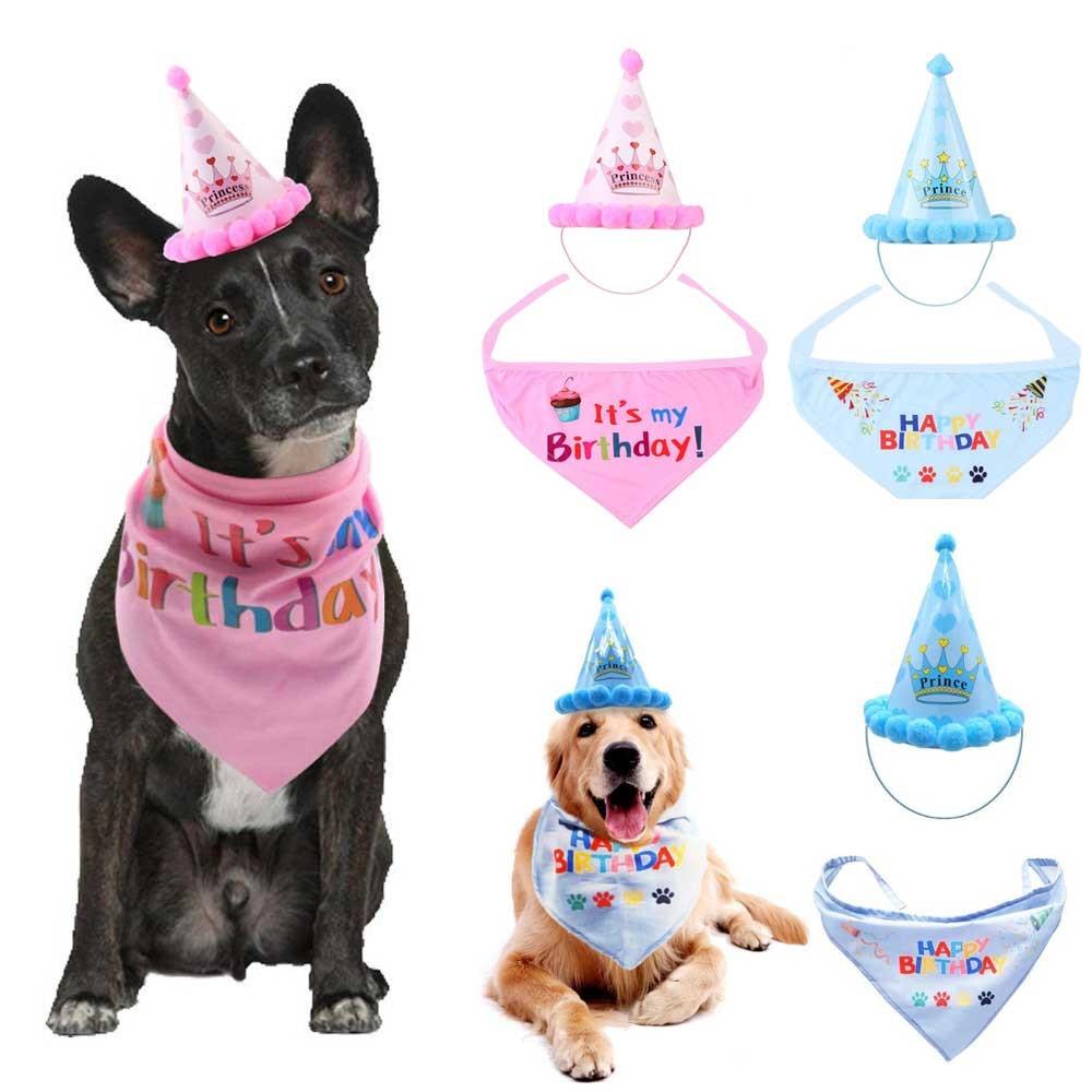 Pet Cat Dog Birthday Headwear Caps Hat Party Costume - Lusy Store