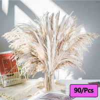 Prom bouquet real natural dried flower bouquet small reed rabbit tail grass - Lusy Store LLC