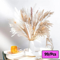 Prom bouquet real natural dried flower bouquet small reed rabbit tail grass Bouquet-17