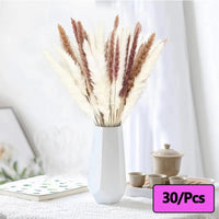 Prom bouquet real natural dried flower bouquet small reed rabbit tail grass - Lusy Store LLC