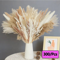 Prom bouquet real natural dried flower bouquet small reed rabbit tail grass Bouquet-20