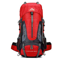 Travel Backpack 65L Large Camping Backpack Luggage Hiking Shoulder Bags B135 - Lusy Store