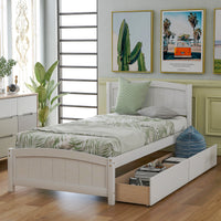 Twin Bed Solid Wood Platform Bed with Two Drawers Bed Frame No Spring Box Needed F405 - Lusy Store